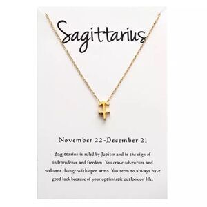🆕Sagittarius Zodiac Pendant Necklace